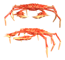 animals & Crab free transparent png image.