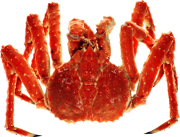 animals & Crab free transparent png image.