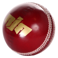 sport & cricket free transparent png image.