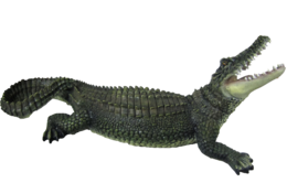 animals&Crocodile png image.