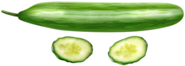 vegetables & Cucumber free transparent png image.