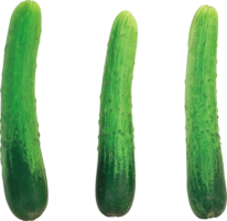 vegetables & Cucumber free transparent png image.