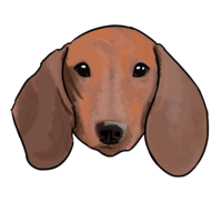 animals & Dachshund free transparent png image.