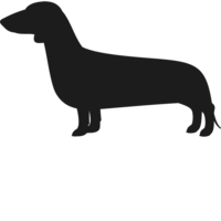 animals & Dachshund free transparent png image.