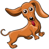 animals & dachshund free transparent png image.