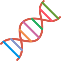 miscellaneous & DNA free transparent png image.