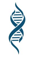 miscellaneous & DNA free transparent png image.