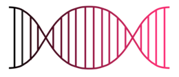 miscellaneous & DNA free transparent png image.