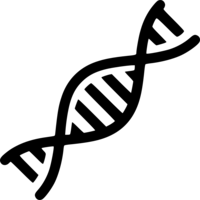 miscellaneous & DNA free transparent png image.