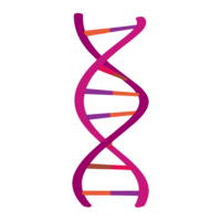 miscellaneous & dna free transparent png image.