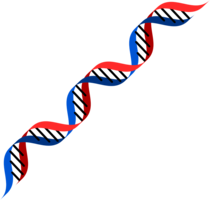 miscellaneous & dna free transparent png image.