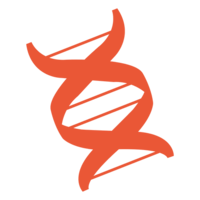 miscellaneous & DNA free transparent png image.