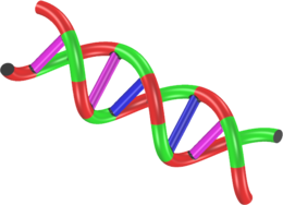 miscellaneous & DNA free transparent png image.