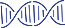 miscellaneous & dna free transparent png image.