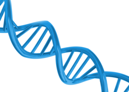 miscellaneous & dna free transparent png image.