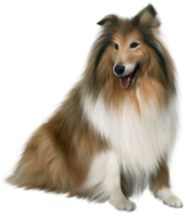 animals & Dogs free transparent png image.