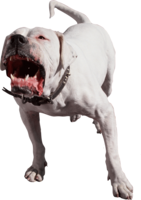 animals & dogs free transparent png image.