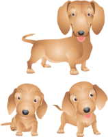 animals & dogs free transparent png image.