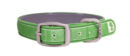 animals & dog collar free transparent png image.