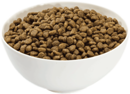 animals & Dog food free transparent png image.