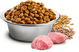 animals & Dog food free transparent png image.