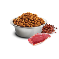 animals & Dog food free transparent png image.