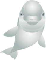 animals & Dolphin free transparent png image.