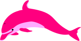 animals & Dolphin free transparent png image.