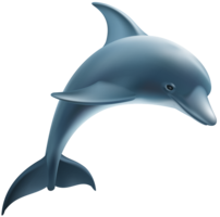 animals & Dolphin free transparent png image.