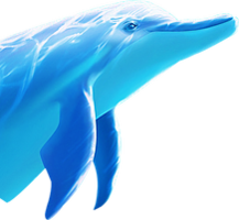 animals & Dolphin free transparent png image.