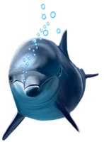 animals & Dolphin free transparent png image.