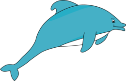 animals & Dolphin free transparent png image.