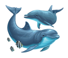 animals & Dolphin free transparent png image.