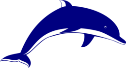 animals & Dolphin free transparent png image.