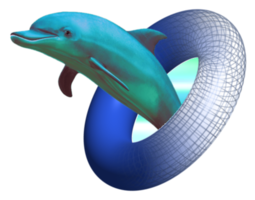 animals & Dolphin free transparent png image.