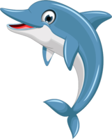 animals & Dolphin free transparent png image.