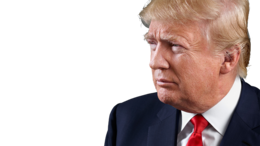 celebrities & donald trump free transparent png image.