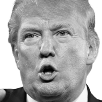 celebrities & donald trump free transparent png image.