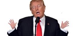 celebrities & donald trump free transparent png image.