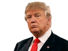 celebrities & donald trump free transparent png image.