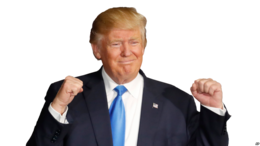 celebrities & donald trump free transparent png image.