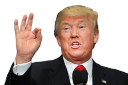 celebrities & donald trump free transparent png image.