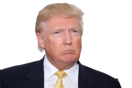 celebrities & donald trump free transparent png image.