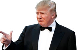 celebrities & donald trump free transparent png image.