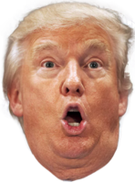 celebrities & Donald Trump free transparent png image.