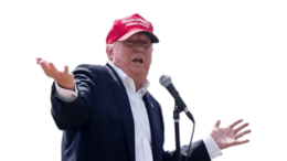 celebrities & Donald Trump free transparent png image.