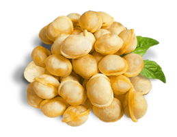 food & dumplings free transparent png image.