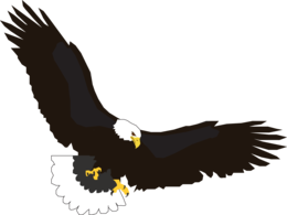 animals & Eagle free transparent png image.