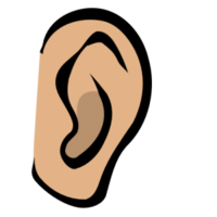 people & ear free transparent png image.