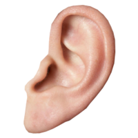 people & ear free transparent png image.